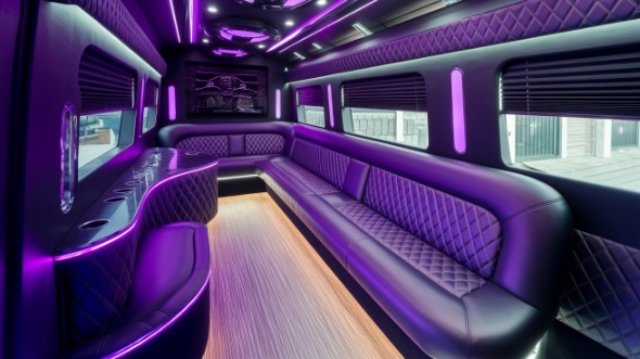 sprinter limo rental interior